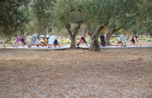 Agrikies Country Retreat - Foto 29