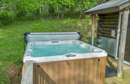 Mountain Top Cabin! Hot tub, Fireplace, Dog Friendly - Photo 4
