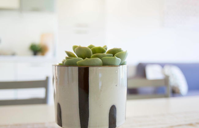 Experia Golf Loft - Italian Homing - Foto 10