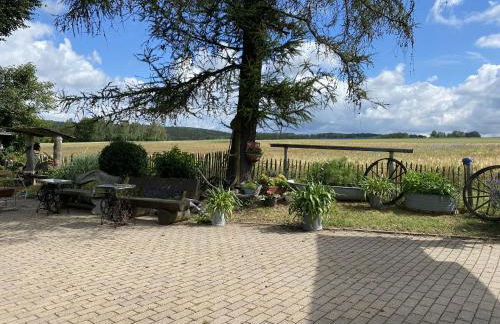 Ferienwohnung Dina - Foto 25