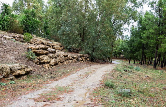 Holiday Home in Cropani Marina With Pool - Foto 31