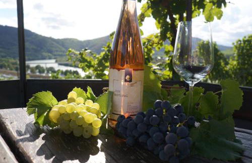 Gästehaus Sehl - Foto 27