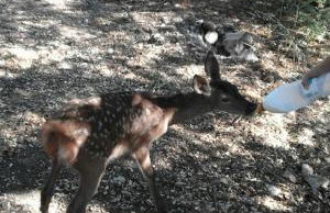 Casas Rurales La Loma Del Carrascal - Foto 52