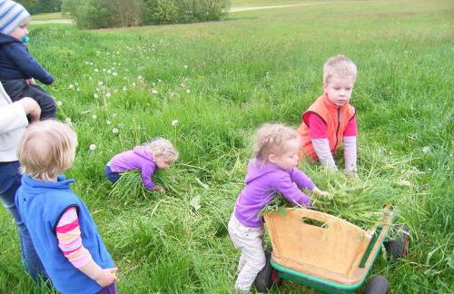 Hanauerhof - Foto 23