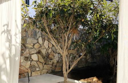 Casita blanca cerca de Timanfaya - Foto 14