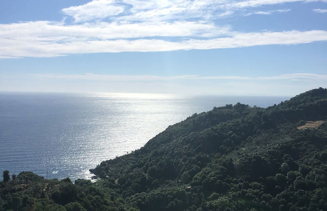 Villa Thea - Foto 34