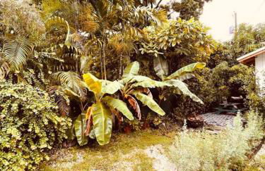 Bienvenidos a la Pequeña Selva de Legnalife - Foto 57