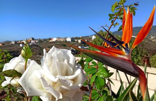 Casa Tamara quiet holiday flat with Pool great view of the mountains and the sea - Foto 34