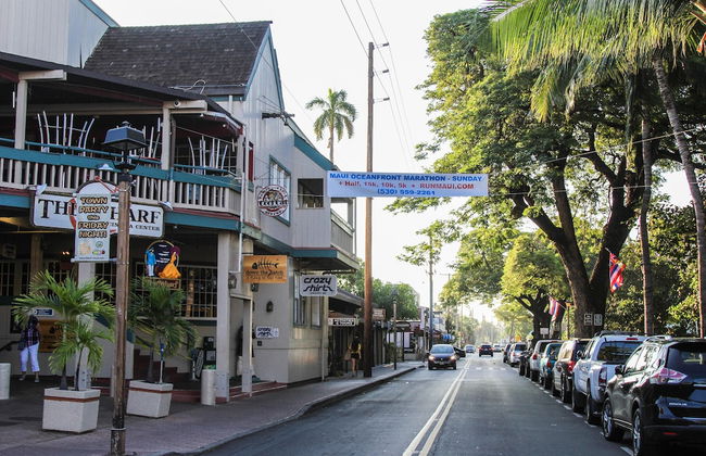 Kapalua Ridge Villas 2612 - Photo 48