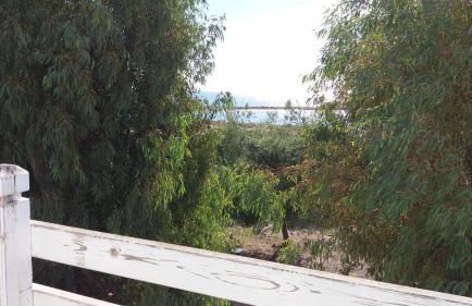 Fronte Mare - Foto 43