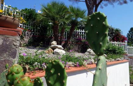 Talia Residence - Photo 124