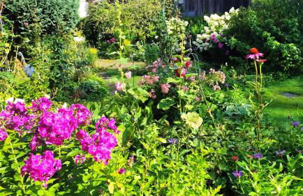 Fewo im Grünen - Foto 10