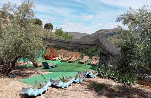 El Almendro de la Tia Teresa - Foto 16