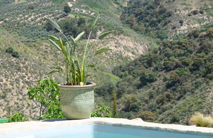 Cortijo La Pedriza - Foto 57