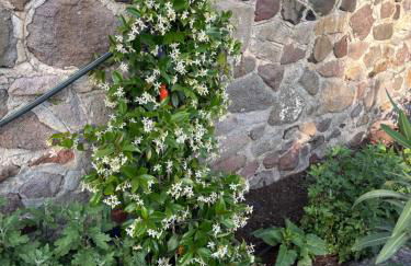 Elea Houses - Foto 43