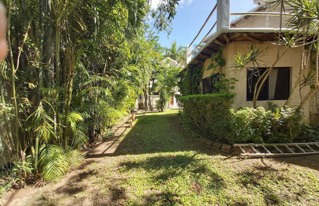 Mini Pini Birdwatching and Cenote Loft4 you Only - Foto 54