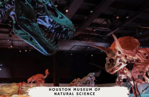 Best of Midtown-3 Bedrooms Minutes to Attractions - Foto 44