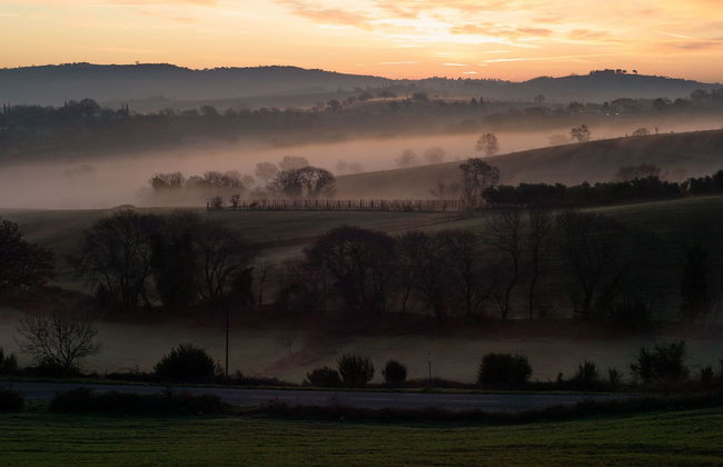 Agriturismo Le Piccole Macie - Photo 45