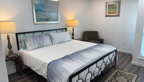 Arlington Entertainment District Home Purple Door - Foto 5