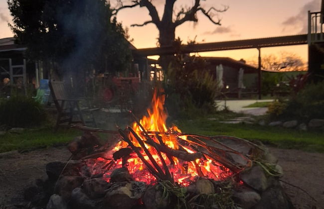 Kur Cow farm - Foto 20