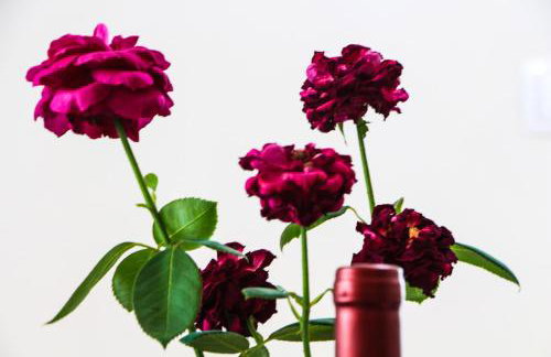 Apartments Adriana - Foto 60