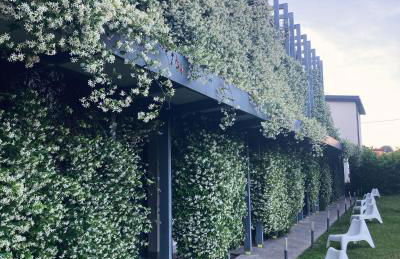 Mxp Rooms Guest House - Foto 7