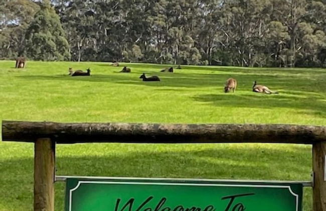 Tinglewood Cabins - Foto 16