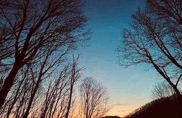 Cabin near Asheville, Hatley Pt, hot tub, views - Foto 43