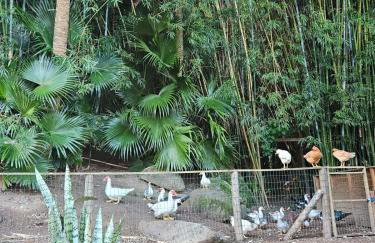 100mts beach Ribeirão da Ilha c Espaço Gourmet - Foto 14