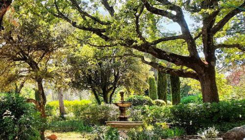 Domaine du Bois d'Amont - Foto 5, Garden