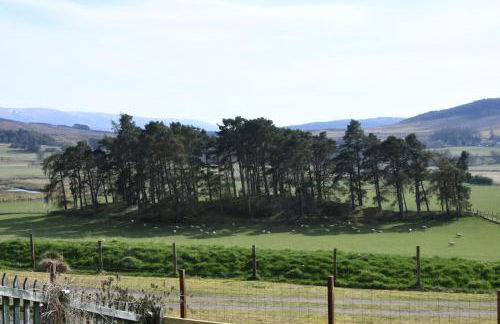 Birch Cottage - Foto 25