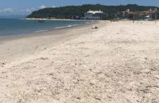 Casa FLORIANÓPOLIS, Praia de PONTA DAS CANAS, 3 - Photo 24