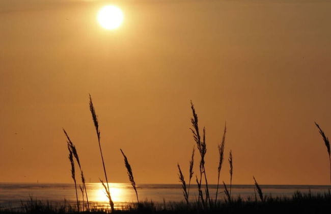 Deichloft Modern Retreat - Photo 26