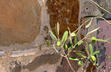 Lithos Homes - Foto 28