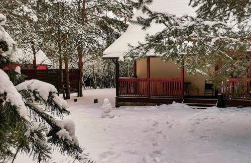 Ostoja Stacze - Foto 68