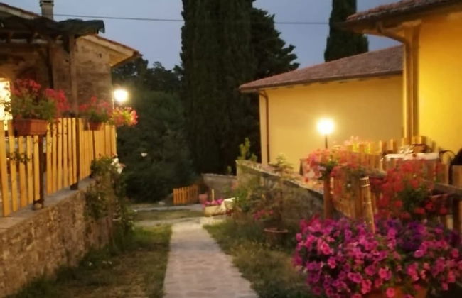 Fattoria di Cintoia - Photo 77