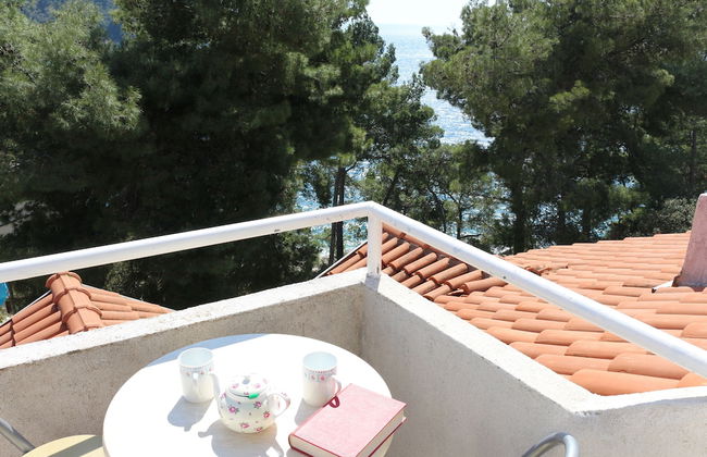 Apartmani Ančila - Foto 27