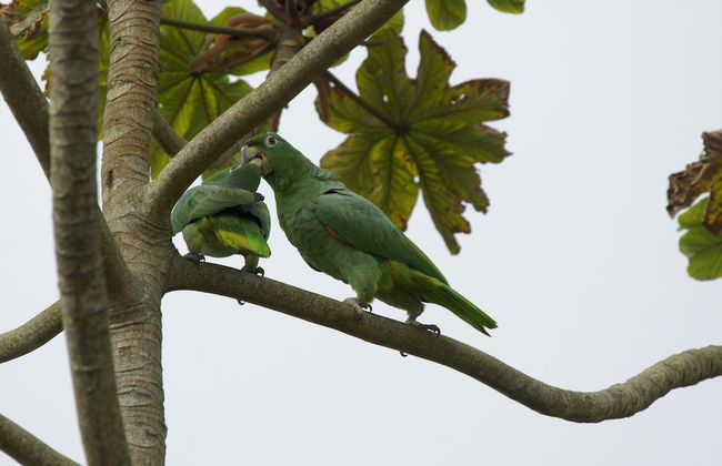 Sítio Rodamonte - Foto 41