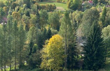 Studio Gościnne ANTEK - Foto 16