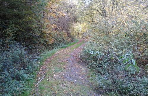 Ferienwohnung Klein am Natursteig Sieg - Foto 21