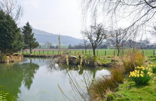 The Stables - Photo 11