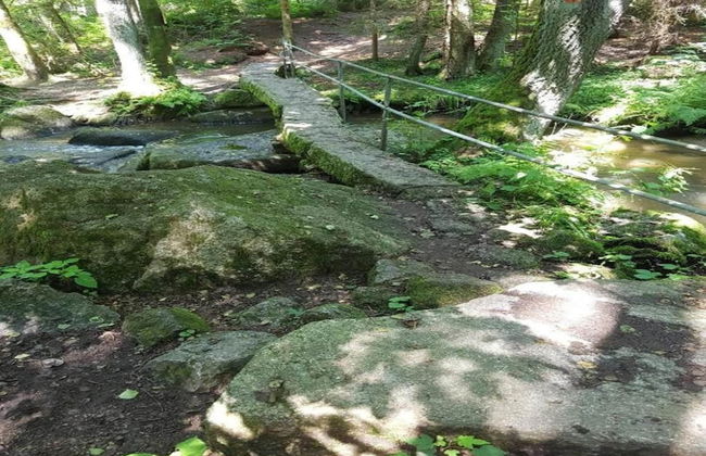 Garden Escape, Kleinwinklarn - Foto 39