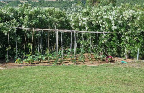 Friends and Family House - Foto 33