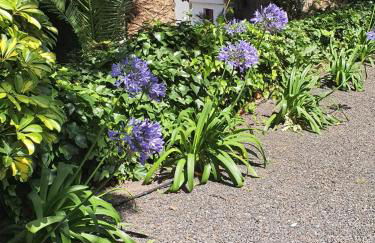 Casa el Porte - Foto 35