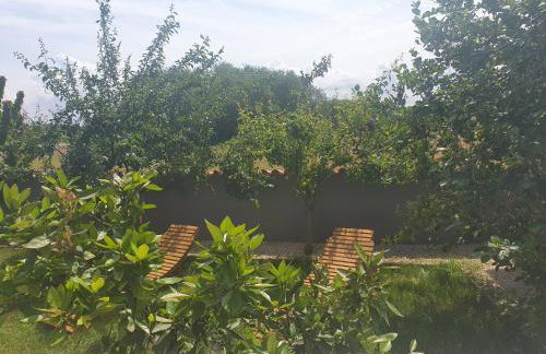 Villa Ancora - Foto 31