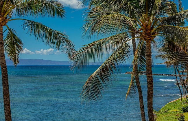 Island Sands by Coldwell Banker Island Vacations - Foto 67