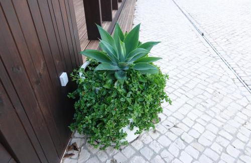 Refúgio da Quinta Nere Maitia - Foto 75