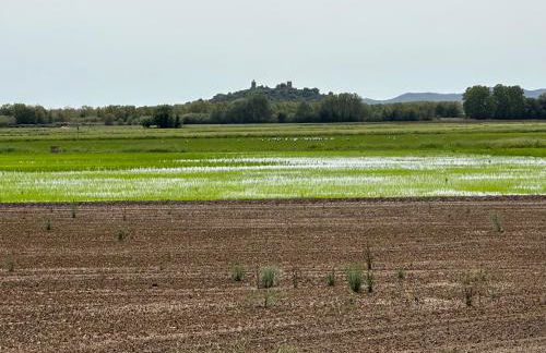 Pals primera Linea de Mar - Foto 61