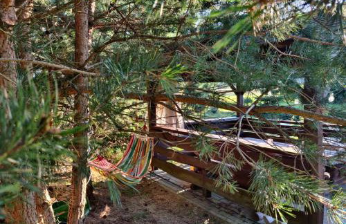 Siedlisko Owink - Foto 49