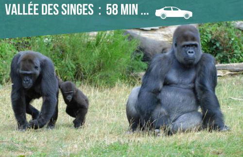 Appartement entier meublé à Beaumont proche Futuroscope et Poitiers Technopole - Foto 32